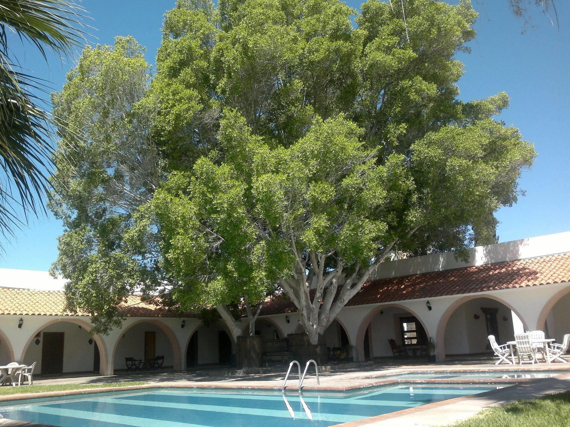 Hotel Mision Catavina מראה חיצוני תמונה