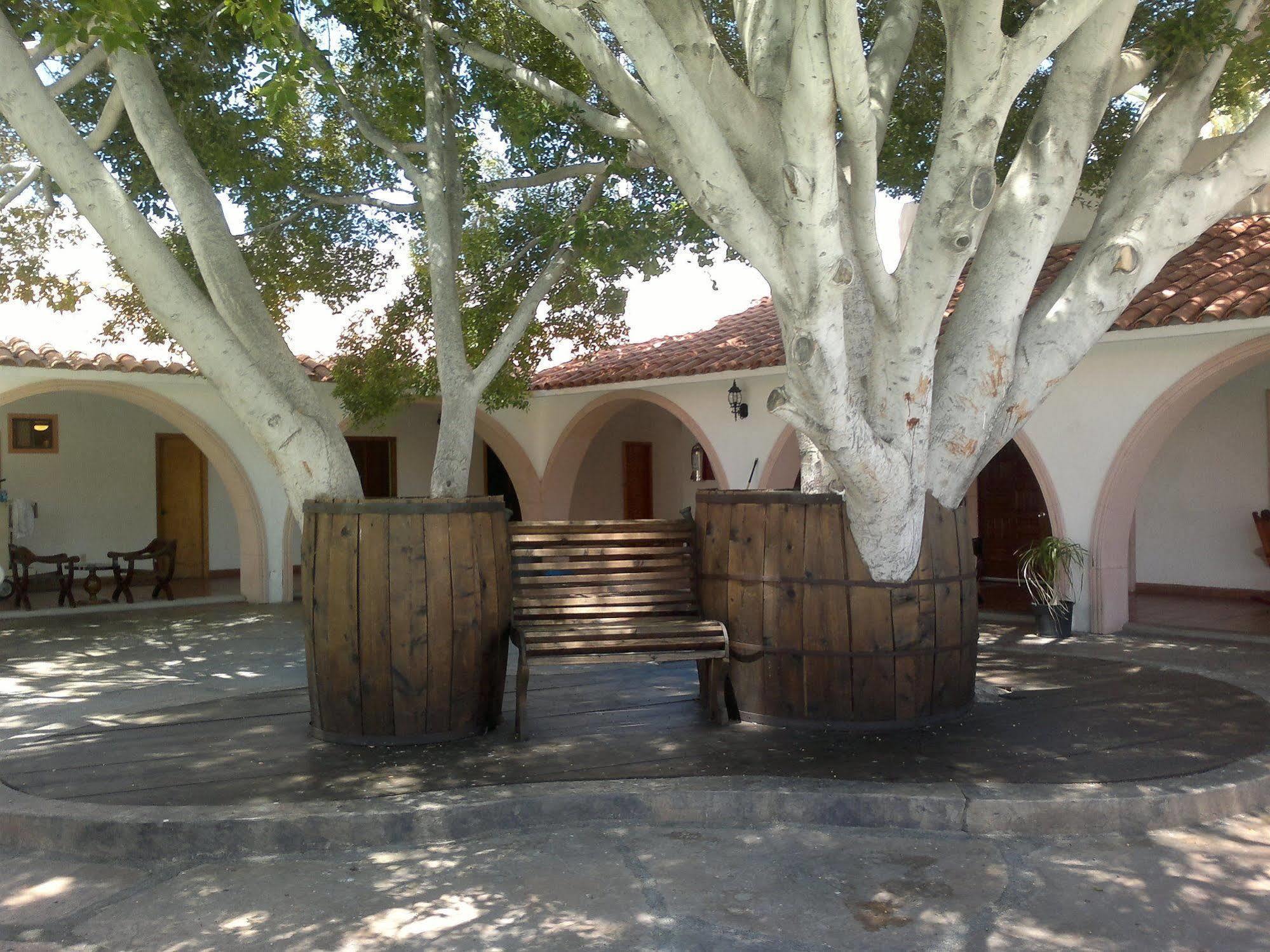 Hotel Mision Catavina מראה חיצוני תמונה